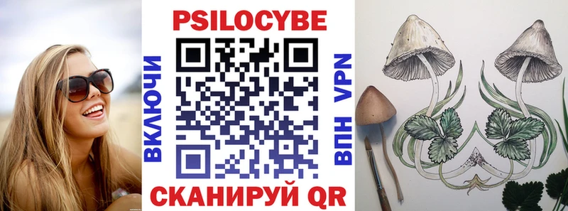 Псилоцибиновые грибы Psilocybine cubensis  Льгов 
